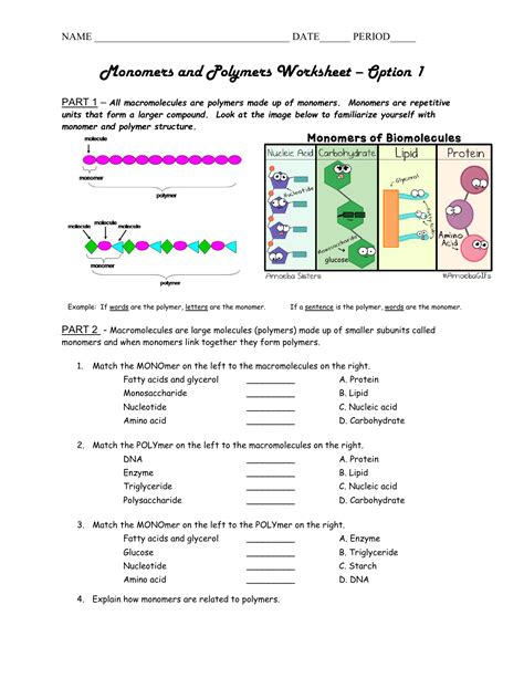 organic macromolecules worksheet answer key